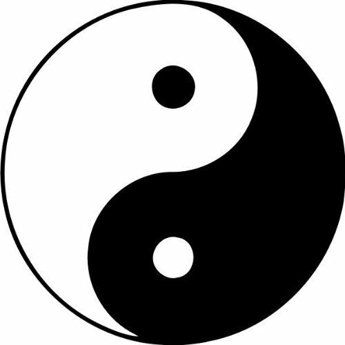 Taiji - das Symbol für Yin und Yang     